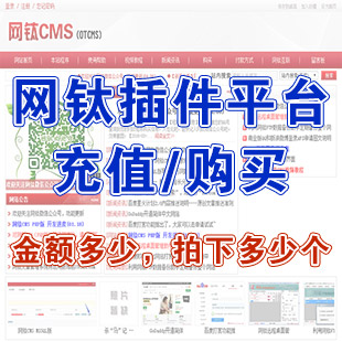 網(wǎng)鈦插件平臺(tái)充值/購買，金額多少拍下多少個(gè)