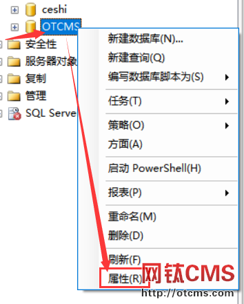 MSSQL數(shù)據(jù)庫導(dǎo)入導(dǎo)出教程 圖2