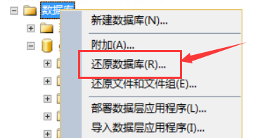 MSSQL數(shù)據(jù)庫導(dǎo)入導(dǎo)出教程 圖8
