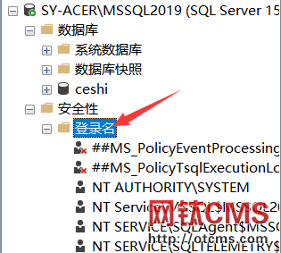 MSSQL數(shù)據(jù)庫導(dǎo)入導(dǎo)出教程 圖11